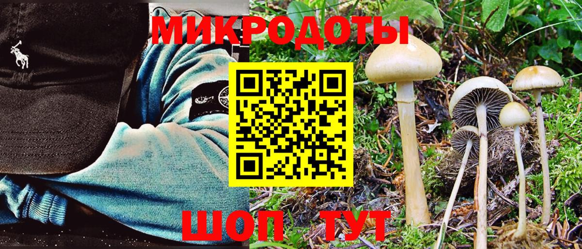 Тверь  Галлюциногенные грибы Magic Shrooms  Вход с VPN 