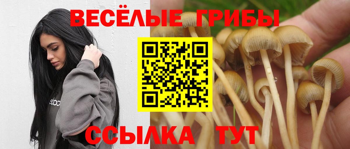 ГАШИШ  Вход с VPN  Кодеин  COCAIN  Тверь  Каннабис  МЕФ  